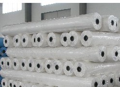 �o������ɫ����ɫ