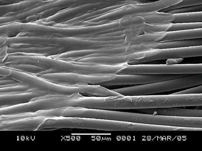 ����(y��ng)�p�M�֟o����