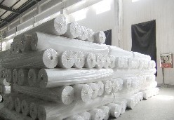 PP��ճ�o����