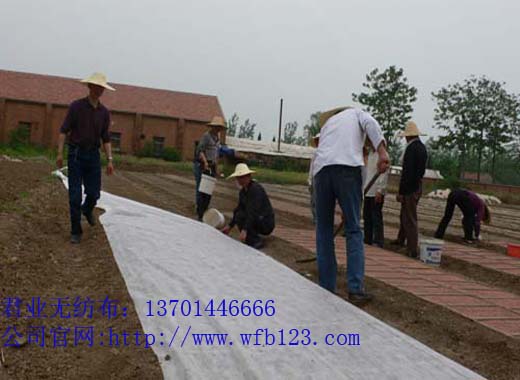 ˮ�����w����o������40�ˣ� [Ҏ���R+