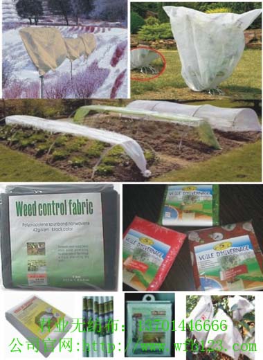 ���I�����r�ֈ@ˇ�o�������gӭ�����ԃ��