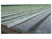 �h��ˮ������o����