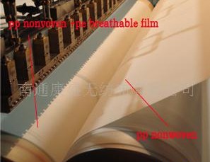 ��X����(f��)�ϟo(w��)����