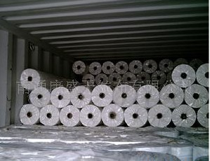 ͸��ͺϟo����