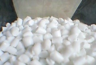 �o������ɫPP������