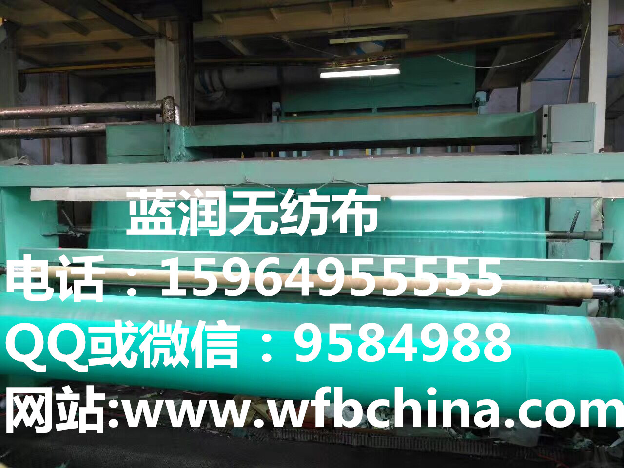 ʳƷ���o������15964955555