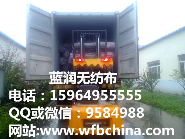 �Ҽ����ßo������15964955555