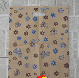 �o���������