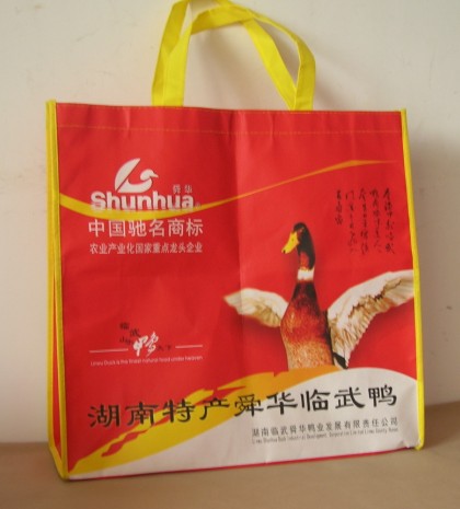 ��ؐ���h����ӆ��/�h������ُ