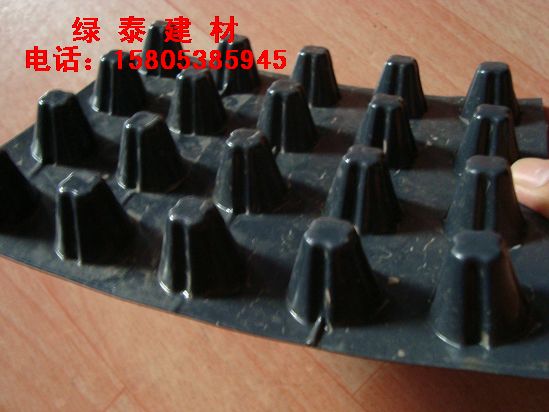 ��̶���&܇��Nֲ��������ˮ��