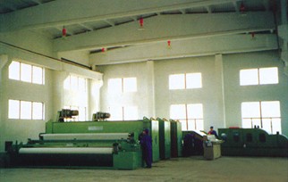 ᘴ����������a��