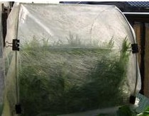 ߲˱طx(chng)(zhun)ßo(w)