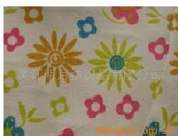 ӡ��PP�o����