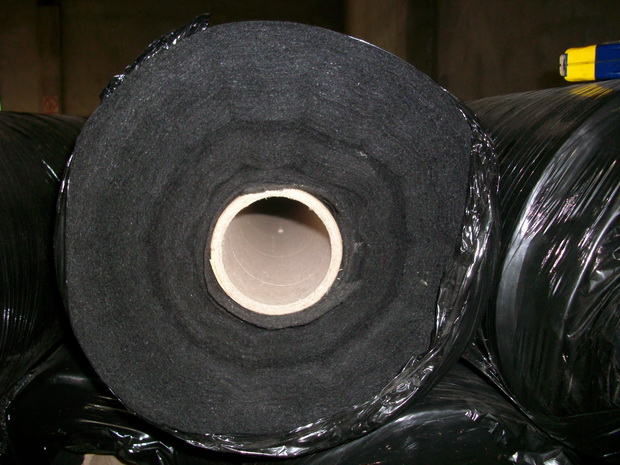 ᘴ̟o���� ��ɫ