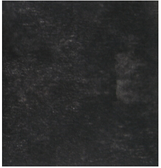 ����̿�o����