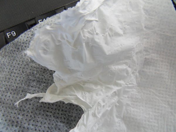 SF͸��Ĥ�o����