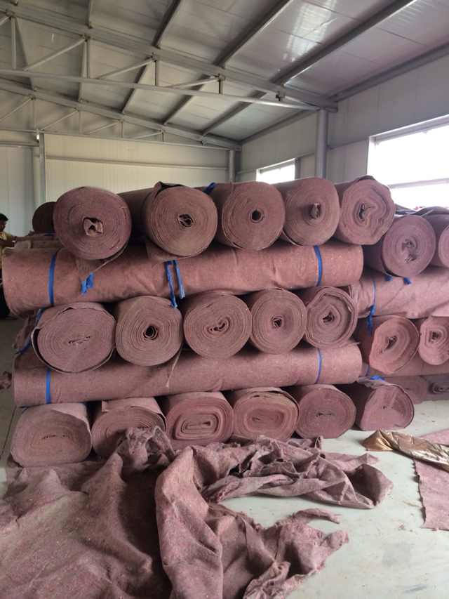 ᘴ̟o���� ����o�������ر�