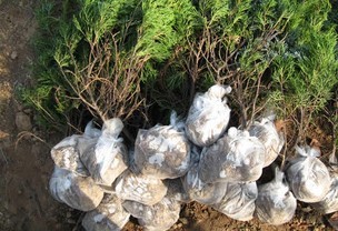 �����o����