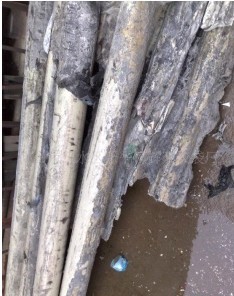 �Ұ�ɫPPR������