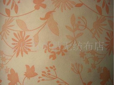 ӡ���o����