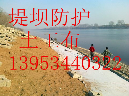 �Ĵ�������500�˵̉η��o�������S��