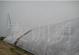 �Bֳ�����ßo����