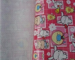 ��Ĥ������