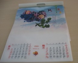 �o������v