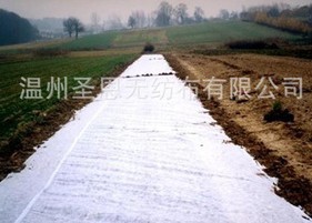 �r�ßo���� 