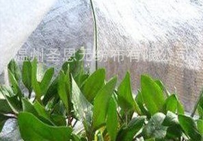  �r(n��ng)�ßo����