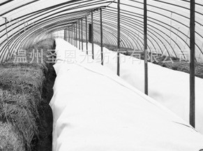 �r�ßo����