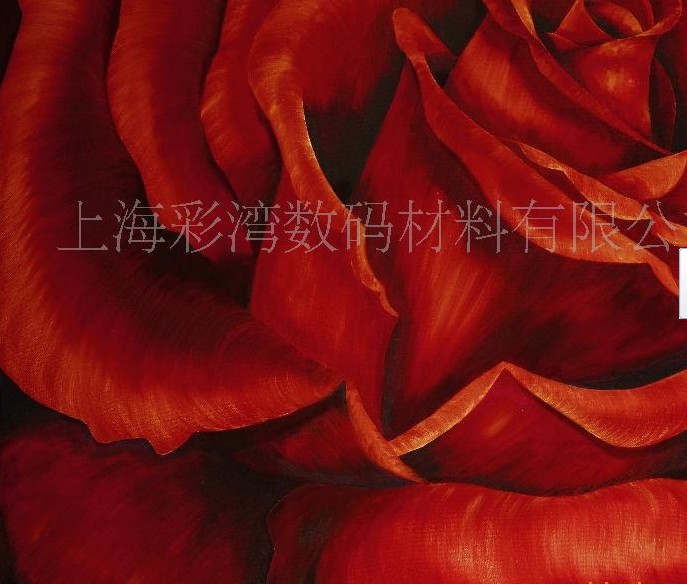 ���܄������ͮ���