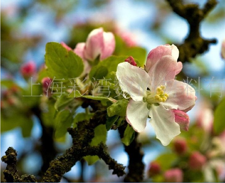 �������܄��o����