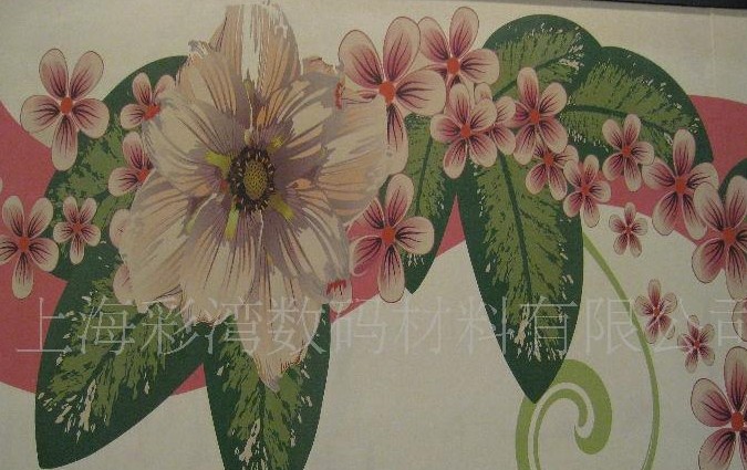 ����ˇ�g�����l���������沼���w�S��