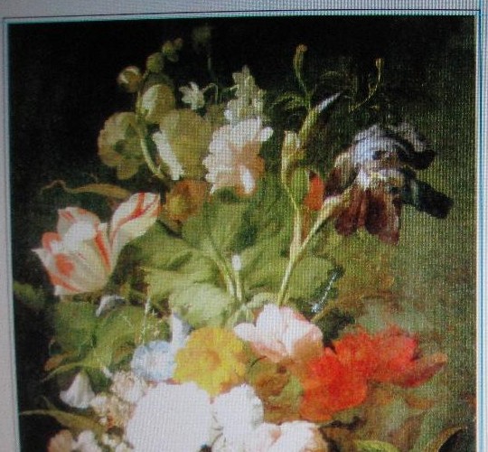 �����߹⼃���ͮ���