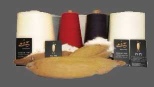 ľ�ޣ��h(hu��n)�V����������ɫ������