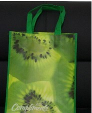 �o���������(��ӡ)