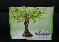 �h����(���ᡢ��ӡ)