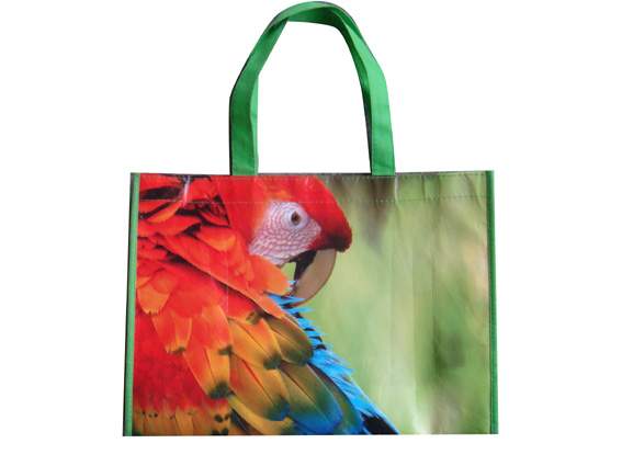 ���ڃ|�c���h��ُ�����ˮ������������