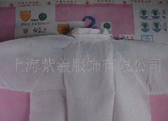 40G�o�������w��