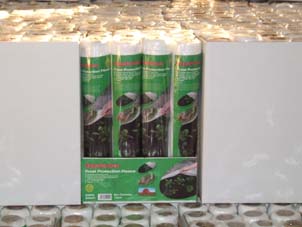 ��������Ĥ�o����