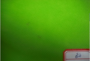 ��ճ�o����