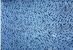 �ۇ��o����