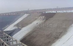 ���B©������