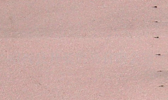 ����(x��)�w�Sᘴ̲�