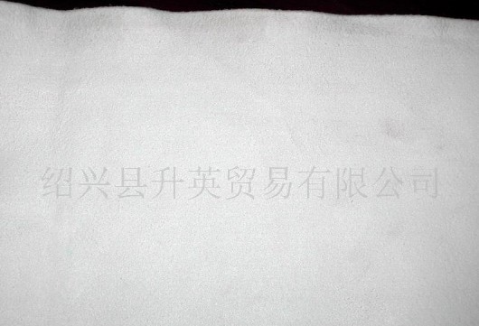 �����w�Sϴ܇��