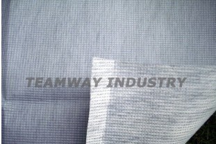 ��ȼ���²����p���o������