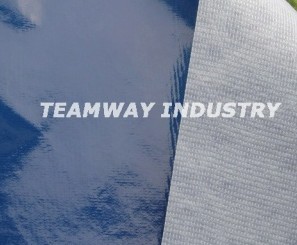 ��Ĥ�o(w��)����