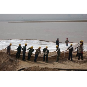 �L�z�C���������Ų�