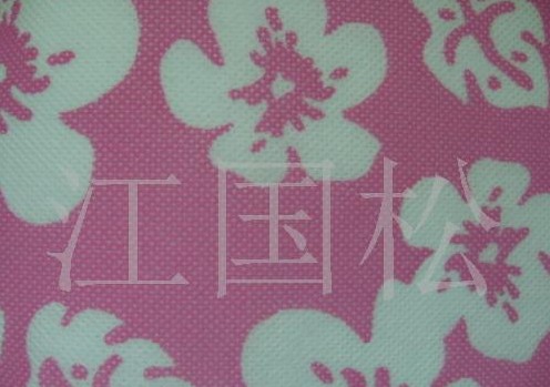 ӡ���o����